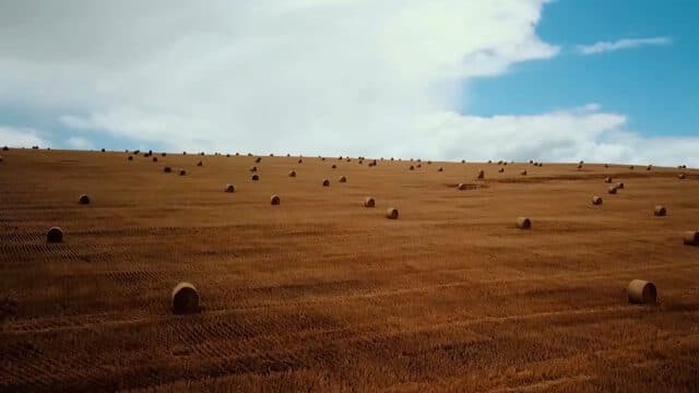 Agro